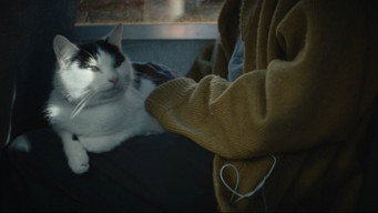 #33 Тихе місце: День перший