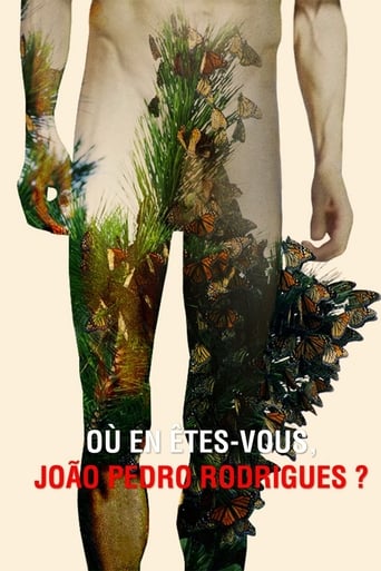 Poster of Où en êtes-vous, João Pedro Rodrigues ?