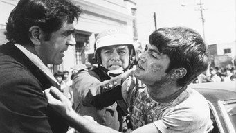 Stray Dog (1980)