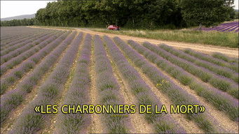 Episode 8 — Episode 8