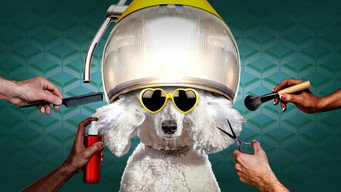 Haute Dog (2020- )