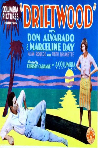 Driftwood (1928)
