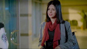 Episode 7 — Episode 7