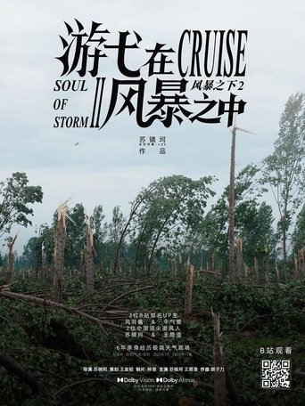 游弋在风暴之中 poster