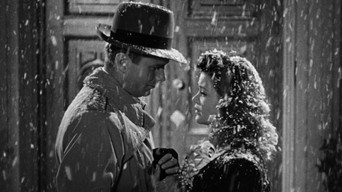 #16 Cat People