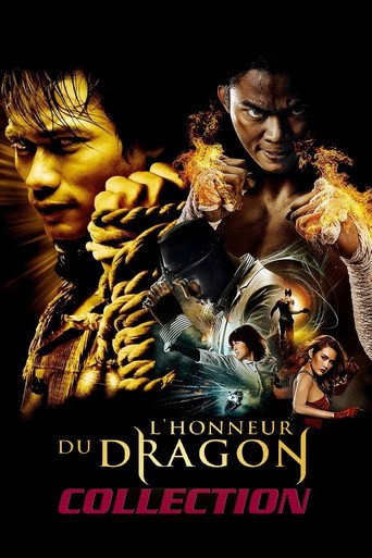 L'Honneur du Dragon - Saga