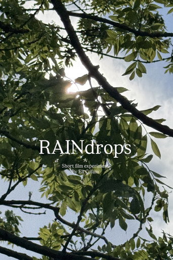 raindrops galeri 3