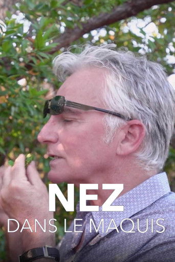 Nez dans le maquis poster