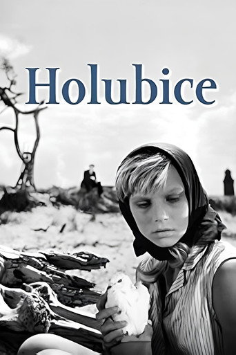 Holubice — Pôsteres 5