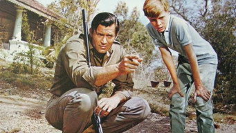 Maya (1966)