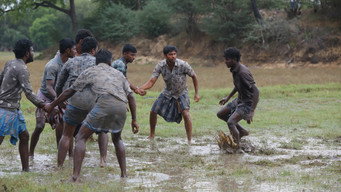 #34 Bison Kaalamaadan
