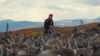 Historja  Stitches for Sapmi (2022)