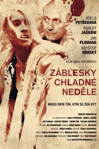 Poster of Záblesky chladné neděle