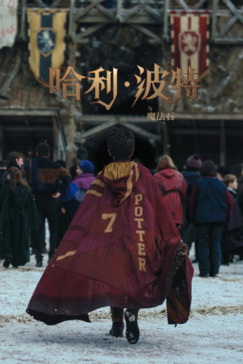 哈利波特与魔法石
