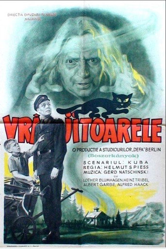 Poster Vrăjitoarele