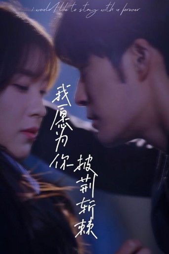 我愿为你披荆斩棘 poster