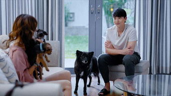 Episodio 5 — Episodio 5