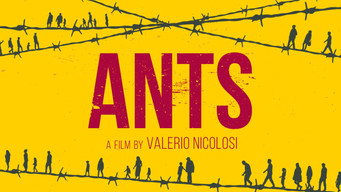 Ants (2021)