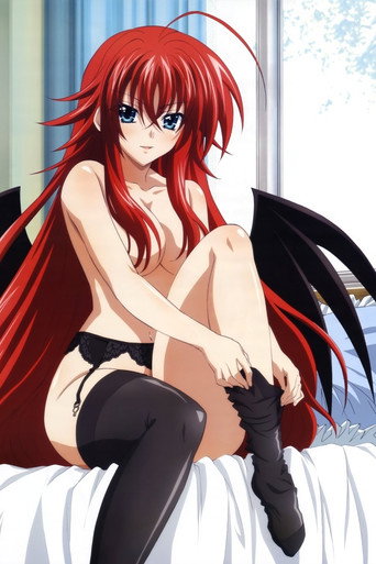 Poster for High School DxD OVA