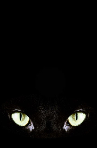 Halloween Claws (2026)