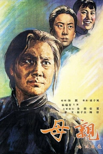 Poster of 母亲