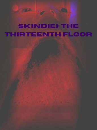 Skindiei: The Thirteenth Floor poster