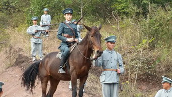 The Wolf Warriors (2017-2021)