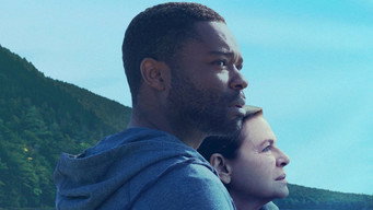 Five Nights in Maine (2015)