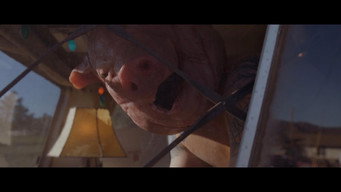 #5 Pig Killer