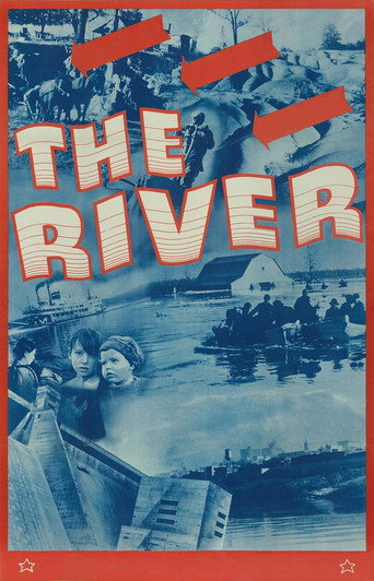 Affiche de The River