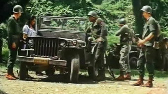 Combat Killers (1970)