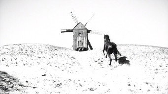 Криниця для спраглих (1965)