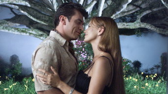 Dark Fate (2003-2004)