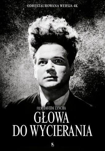 Głowa do wycierania
