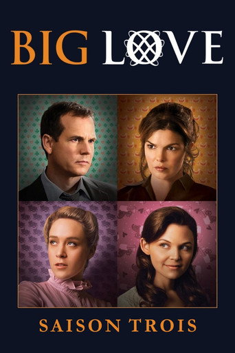 Big Love - S3 - Épisode 2 : Le choix de nicky - Affiche