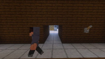 #13 Liminal's