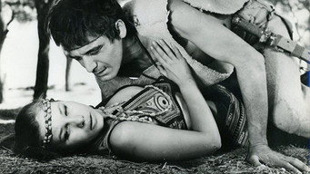 #4 Young Aphrodites