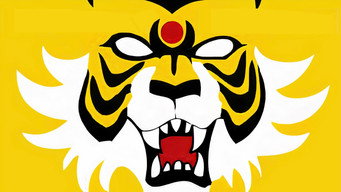 #4 Tiger Mask
