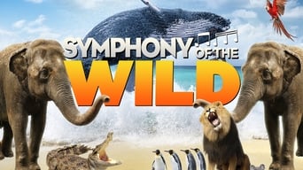 #1 Symphony of the Wild