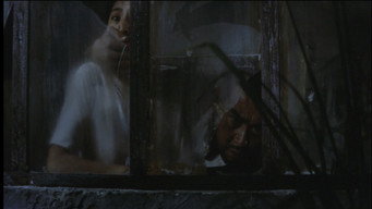 Stray Dog (1973)