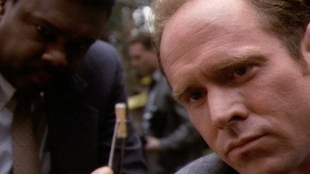 In the Deep Woods (1992)