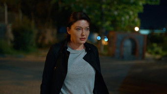 Aflevering 26 — Episode 26