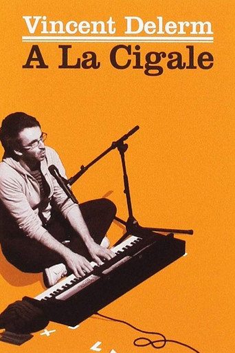 Vincent Delerm à la Cigale poster