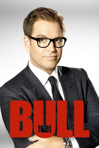Bull poster