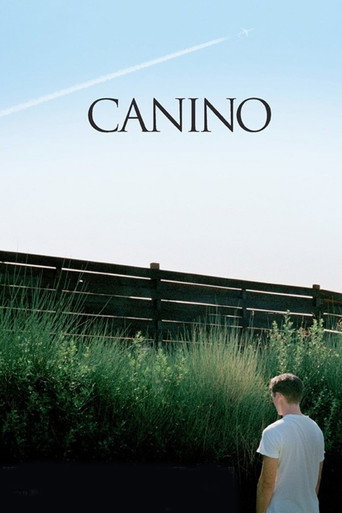 Canino