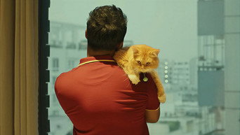 Love Sitter (2026)