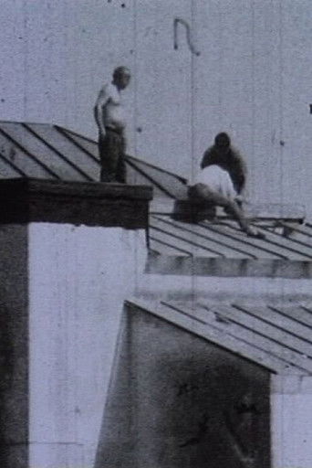 Stereo #0 - 30 drones for television - Drone 17