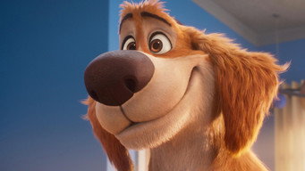 Still 7 from Charlie the Wonderdog