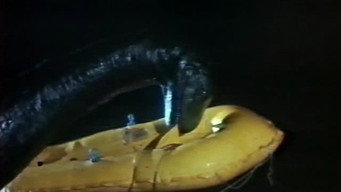 The Loch Ness Horror (1982)