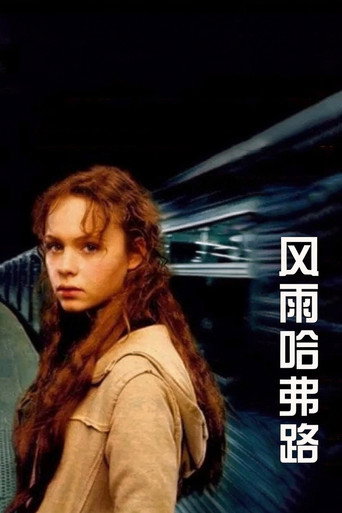 风雨哈佛路